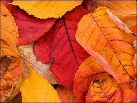 Dobrogea: estimările meteo pentru perioada 28 octombrie-8 noiembrie